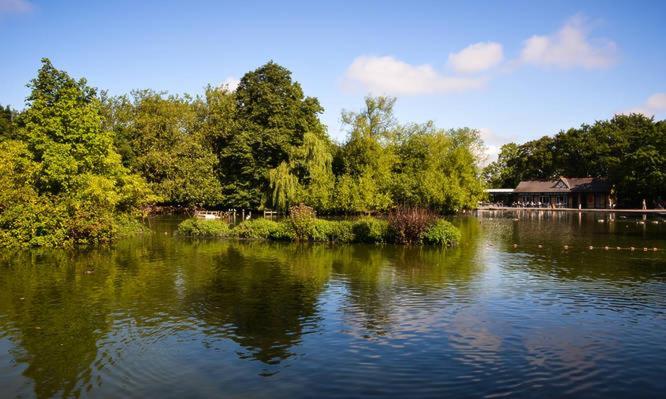 Hébergement de vacances Exclusive 3 Bedroom House Near Manor House! Londres